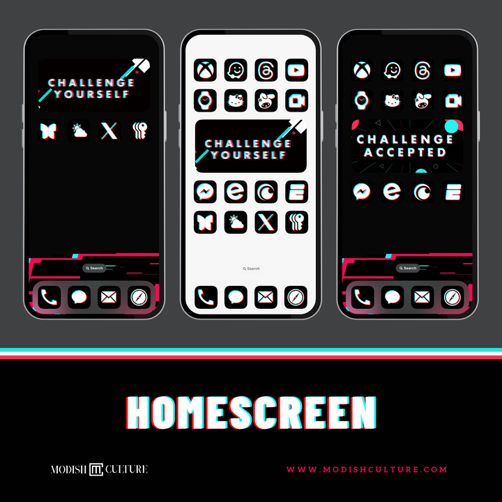 Black and White TikTok App Icon Theme