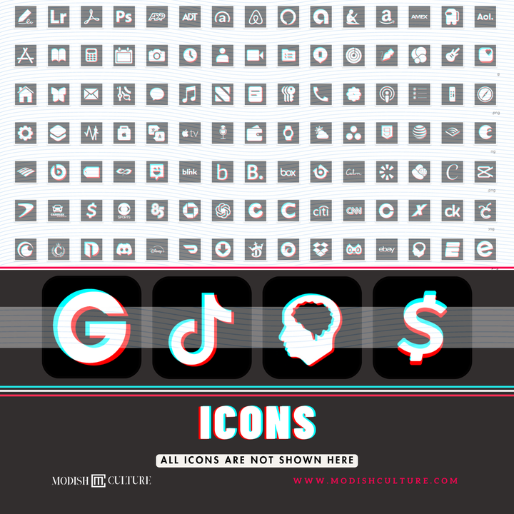 Black and White TikTok App Icon Theme