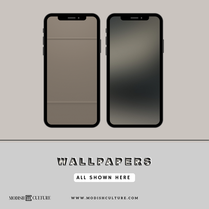 Brushed Titanium Light iPhone App Icon Theme | iOS14+